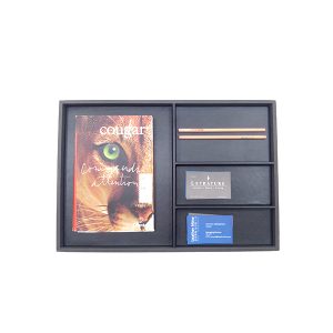 11301-Accessories-Tray-2