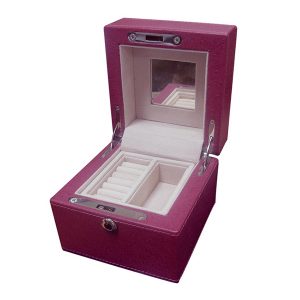 U933-1-Ostrich-jewelry-box-2
